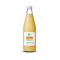 Jus de gingembre bio au miel Dame Gingembre Suisse